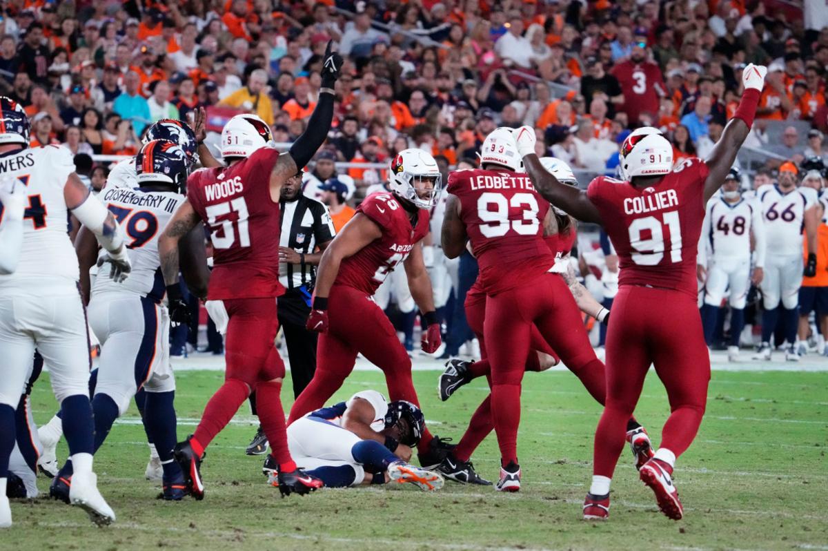 Cardinals Defense